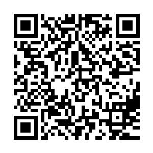 那原本快要被自己抓住的能量波动却是跟随其一同消失了起来二维码生成