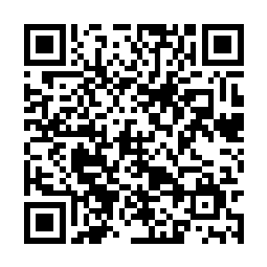 那原本正在冲过来的血祖却忽然停下了前冲的步伐二维码生成