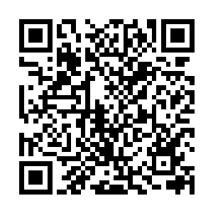 那原本正在迅速闭合的时间裂缝居然硬生生的被卡住了二维码生成
