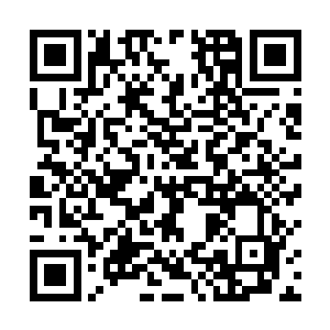 那原本浑身妖气冲天的林梦君脸色大变身子飞快的后退二维码生成