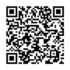 那原本空空如也的手上突然就多出了一束娇艳欲滴的玫瑰花了二维码生成