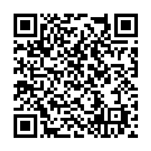 那原本等着阶梯下面的薄西仙人已经飞掠到了近前二维码生成