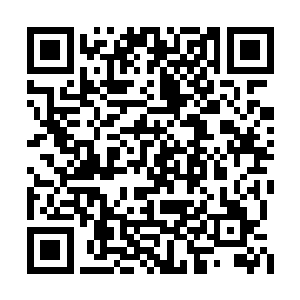 那原本紧锁在他脖子上的白色蛛丝也失去了目标二维码生成