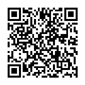 那原本能撑起一层保护而让海水不进入其中的那一层失效二维码生成