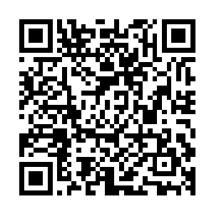 那原本自桌台后登记报名之人的年轻女子再次来到了大厅之内二维码生成