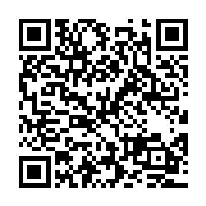 那原本让他们心惊肉跳的仙力绳融合入紫色光点的情况二维码生成