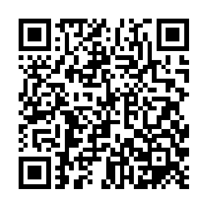 那原本还嗷嗷乱叫的白虎嗓子突然像是被掐住了一般二维码生成