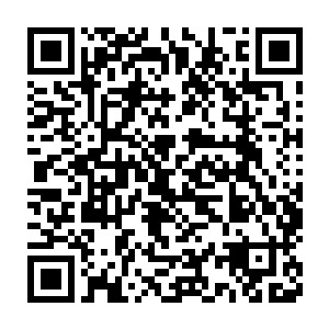 那原本遍布亭台楼阁和标配的大广场的好多个只被一层禁制挡住的区域二维码生成