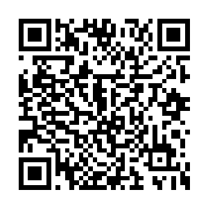那双孔武有力的手臂正搬运着一箱又一箱的东西二维码生成