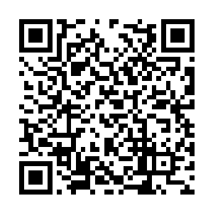 那双平静的眸子莫名地让人看出了一些无辜和委屈二维码生成