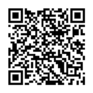那双手也开始不老实的缓缓地在张怡蓝的身上游走了起来二维码生成