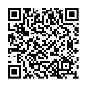 那双手交扣在腹部的美丽女人轻轻柔柔走了出来二维码生成