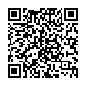 那双明亮的眸子当中不时的闪过一道道迷惑不解之色二维码生成