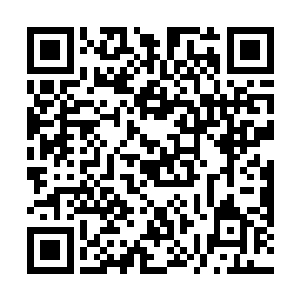 那双染着红艳艳的指甲就在张潇晗和宋辰砂前晃了一下二维码生成