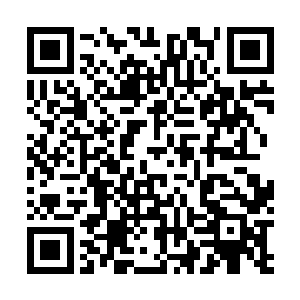 那双比星辰还要纯净的清澈大眼睛正一瞬不瞬的看着苏落二维码生成