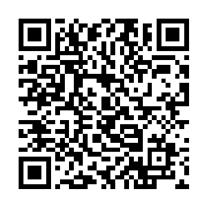 那双沾满了泥土与鲜血的旧鞋子被他随即扔在草丛上二维码生成