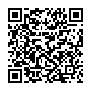 那双沾着一层深蓝色营养液的赤足踩出的深深的脚印二维码生成