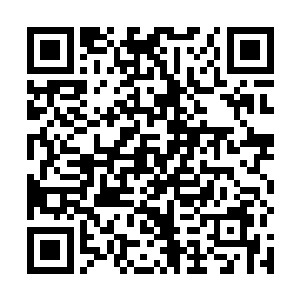 那双满是绝望的黑眸在看见流墨墨的瞬间似乎楞了一下二维码生成
