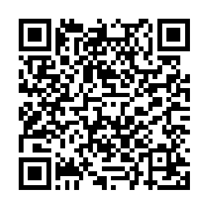 那双满是魅惑的潋滟眸子让沈婉瑜有一瞬间的失神二维码生成
