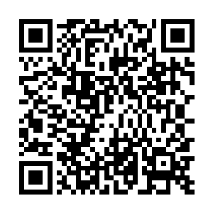 那双漂亮的大眼睛略带羞涩却又饱含热情的看着自己时二维码生成
