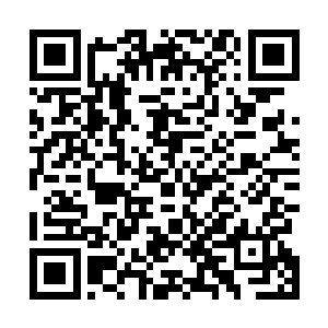 那双琥珀色的眸子有着这两天以来前所未有的平静和坦然二维码生成