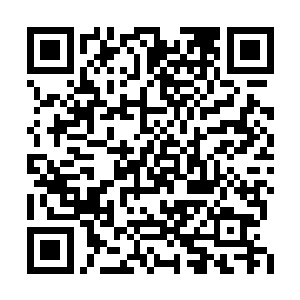 那双金色的眼睛里顿时爆发出强烈的耀眼的金光二维码生成