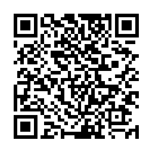 那双阴柔如水的眼眸時不時地自宸王与太子的身上扫过二维码生成