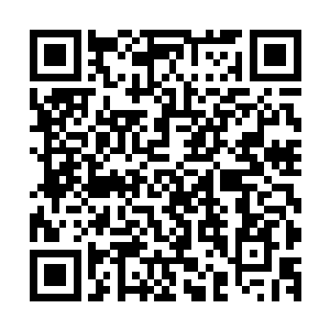 那变异嗜血藤应该是吸收了生命之源的力量所以才会发生变异二维码生成
