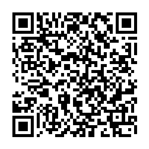 那只从血色漩涡之中激射出来的猩红触手不知道是因为不适应这海底的环境二维码生成