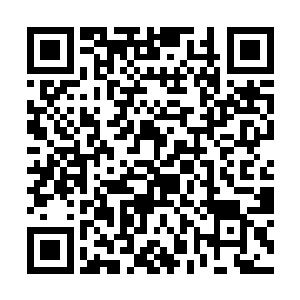 那只仿佛是假手一样的人的手停下了一抓一抓的动作二维码生成