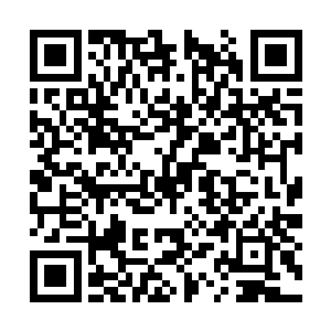 那只会让相对关系更疏远黑莲和青珠白白看了笑话二维码生成