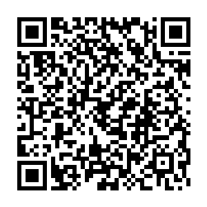 那只四臂猿的目光从空中的许紫烟身上移到了对面的那头大象的身上二维码生成