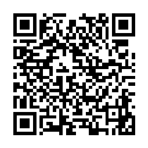 那只圣级大圆满域外天魔一直没有加入到攻城之中二维码生成