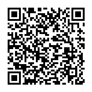 那只圣级大圆满混沌兽带着众混沌兽和域外天魔离开了太虚宗之后二维码生成