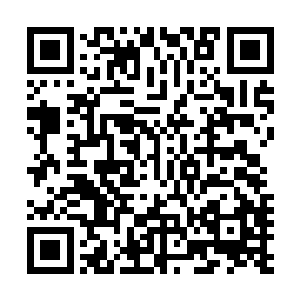 那只大手一把就抓住了石中天后背旋转的七窍玲珑心的虚像二维码生成