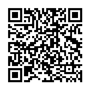 那只天竺鼠嘴巴下方血痕斑斑的伤口竟已开始愈合二维码生成