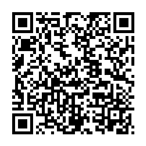 那只小号哥斯拉刚才的喷火看似应该是将积攒的精力暂时消耗一空二维码生成