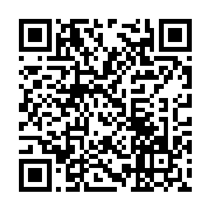 那只小狗跟我妈妈在一起时就爱偎在她脚边蹭痒痒二维码生成