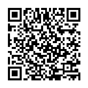 那只有一个解释――这些古藤是一个东西制造出来的二维码生成