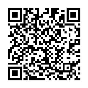 那只灵兽之所以打不死是因为紫光能保住它的最后一丝生机二维码生成