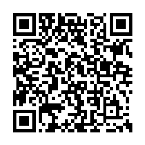 那只老鼠精还一直追着我们留下的蛛丝马迹不放二维码生成