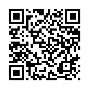 那只虎型傀儡依旧站在众人的面前二维码生成