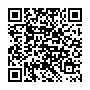 那只蝴蝶就像是大海里的一艘小船被上下颠簸难以逃避二维码生成