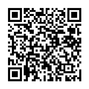 那只超大型蝙蝠的身上已经被无数枚落到其身上的导弹二维码生成