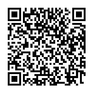 那叫小敏的女孩却始终没有开口说出在出殡队伍内发生了什么事情二维码生成