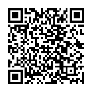 那可以让她成为京城名媛里面最让人羡慕妒忌的人二维码生成