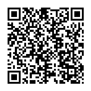 那可怕的程度……足以让任何人都明白风暮寒的脾气是怎么来的了二维码生成