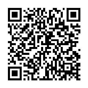 那可摇山撼岳的拳劲在指劲荡漾下被化解的无影无形二维码生成