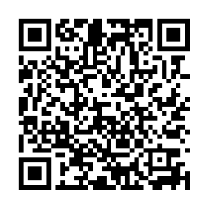 那可是一个拥有着两个天罡境王级武者的庞然大物二维码生成