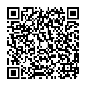 那可是一个连仙露玉髓丹这样仙丹妙药都能丢了的倒霉至极的满脸恶疮的傻子啊二维码生成